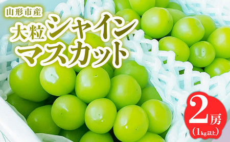 山形市産 大粒シャインマスカット 1kg以上 2房[令和8年産先行予約]FS24-763 くだもの 果物 フルーツ 山形 山形県 山形市 2026年産
