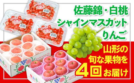 【定期便4回】☆フルーツ王国山形☆佐藤錦・白桃・シャインマスカット・りんご 【令和7年産先行予約】FS24-770