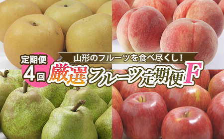 【定期便4回】山形のフルーツを食べ尽くし！厳選フルーツ定期便F 【令和7年産先行予約】FS24-803