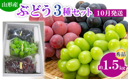 山形市産 ぶどう3種セット 秀 約1.5kg[10月発送] 【令和7年産先行予約】FS24-812