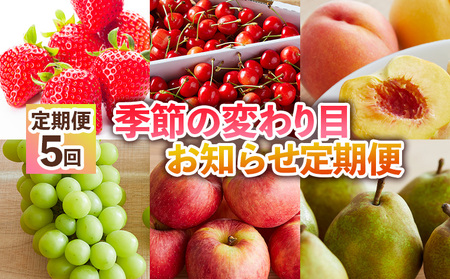 �y�����5��z�G�߂̕ς��ڂ��m�点����� FY24-512