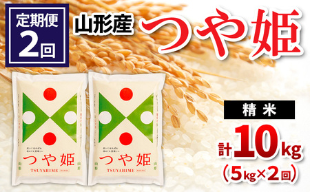 【定期便2回】山形県産 つや姫 精米 5kg×2回(計10kg) FY24-530