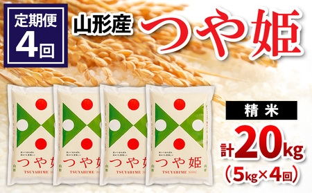 y4zR`Y P  5kg×4(v20kg) FZ24-532