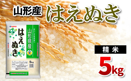 山形県産 はえぬき 精米 5kg FZ26-846