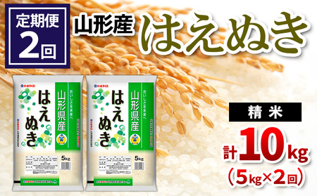 【定期便2回】山形県産 はえぬき 精米 5kg×2回(計10kg) FZ24-534