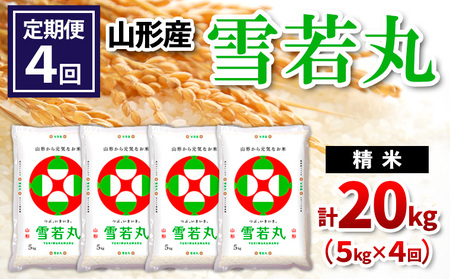 �y�����4��z�R�`���Y ���� ���� 5kg×4��(�v20kg) FZ24-540