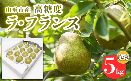山形市産【高糖度ラフランス】特秀品 5kg (10～18玉)  極上フルーツ  洋梨 山形【令和8年産先行予約】FS24-822