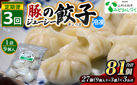 【定期便3回】豚のジューシー餃子 9個入り×3袋(27個)×3ヶ月(計81個) FZ26-738