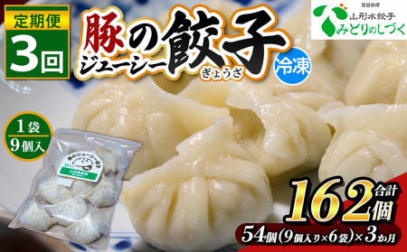 【定期便3回】豚のジューシー餃子 9個入り×6袋(54個)×3ヶ月(計162個) FZ26-739