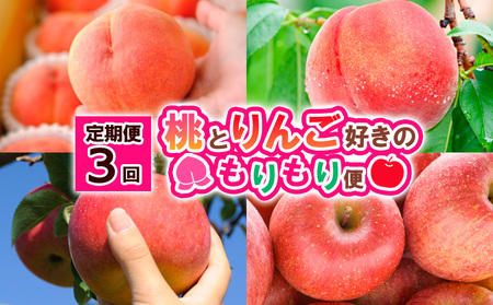 y3zƂ񂲍D̂ yߘa8NYs\z FS25-629  ʕ t[c R` R` R`s 2026NY