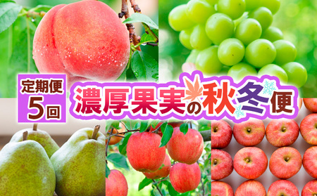 [定期便5回]濃厚果実の秋冬便 [令和8年産先行予約]FS25-692 くだもの 果物 フルーツ 山形 山形県 山形市 2026年産