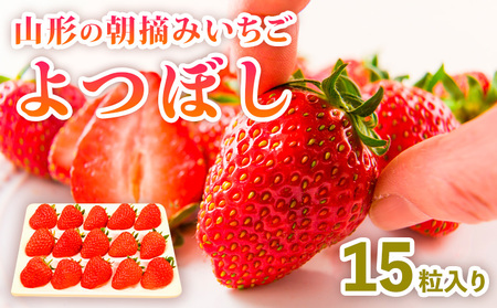 山形の朝摘みいちご よつぼし (15粒入り) FY25-029