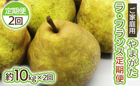 y2zƒp ܂EtX10kg×2 FY25-036