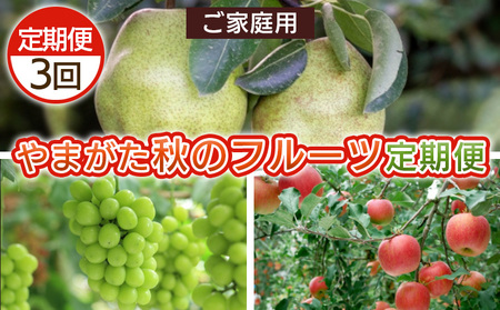 [定期便3回]ご家庭用 やまがた秋のフルーツ定期便 [令和8年産先行予約]FS25-695 くだもの 果物 フルーツ 山形 山形県 山形市 2026年産