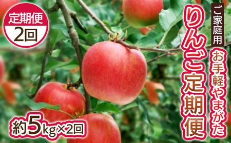 [定期便2回]お手軽 ご家庭用 やまがたりんご定期便 FY25-046