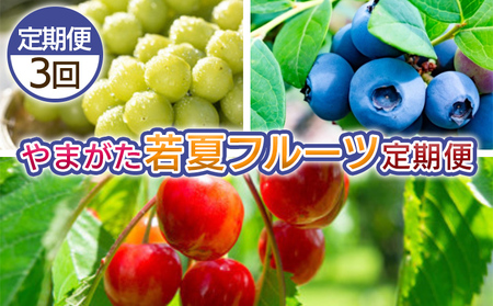 [定期便3回]やまがた 若夏のフルーツ定期便 [令和8年産先行予約]FS25-700 くだもの 果物 フルーツ 山形 山形県 山形市 2026年産