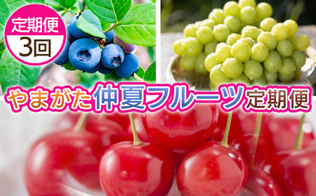 [定期便3回]やまがた 仲夏フルーツ定期便 [令和8年産先行予約]FS25-701 くだもの 果物 フルーツ 山形 山形県 山形市 2026年産