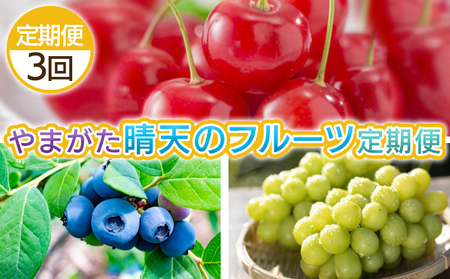 [定期便3回]やまがた 晴天のフルーツ定期便 [令和8年産先行予約]FS25-702 くだもの 果物 フルーツ 山形 山形県 山形市 2026年産