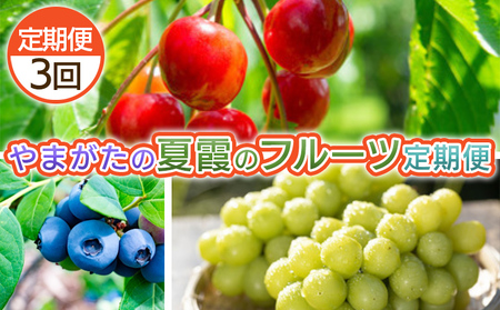 [定期便3回]やまがた 夏霞のフルーツ定期便 [令和8年産先行予約]FS25-703 くだもの 果物 フルーツ 山形 山形県 山形市 2026年産