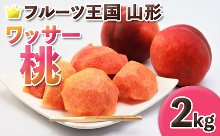 t[cR` bT[ Gi 2kg (5`8) yߘa8NYs\z FS25-661  ʕ t[c R` R` R`s 2026NY