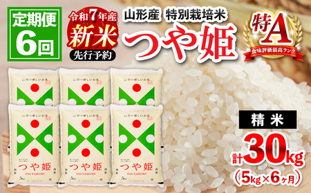 【定期便6回】 先行予約 令和7年産 新米 山形産 特別栽培米 つや姫 5kg×6ケ月(計30kg)【11月発送開始】 FY25-088