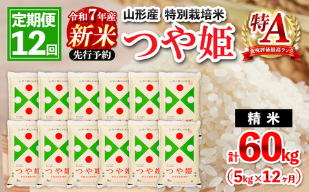 【定期便12回】 先行予約 令和7年産 新米 山形産 特別栽培米 つや姫 5kg×12ヶ月(計60kg)【11月発送開始】 FY25-093