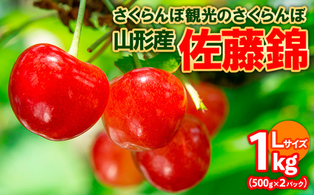 さくらんぼ観光のさくらんぼ 佐藤錦 1kg(500g×2) FY25-101