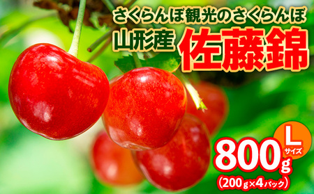 さくらんぼ観光のさくらんぼ 佐藤錦 L 800g(200g×4パック) FY25-103