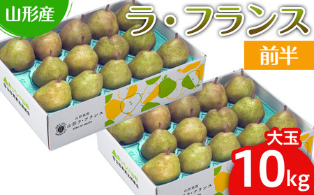 山形のラ・フランス大玉 10kg(20～28玉) 前半【令和8年産先行予約】FS25-747