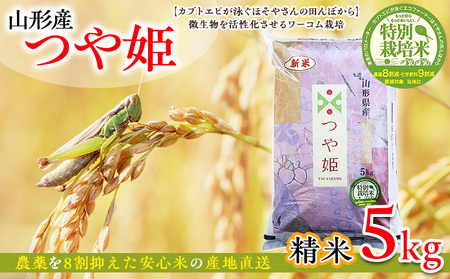 令和6年度産 山形産 「つや姫」5kg (精米) 特別栽培米 8割減農薬・9割減化学肥料(当地比)[カブトエビが泳ぐほそやさんの田んぼから]微生物を活性化させるワーコム栽培 FY25-125