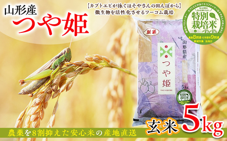 令和6年度産 山形産 「つや姫」5kg (玄米) 特別栽培米 8割減農薬・9割減化学肥料(当地比)[カブトエビが泳ぐほそやさんの田んぼから]微生物を活性化させるワーコム栽培 FY25-126