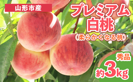 v~A Gi 3kg (5`14) [_炩Ȃ铍] yߘa8NYs\z FS25-627  ʕ t[c R` R` R`s 2026NY