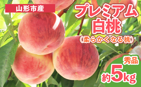 v~A Gi 5kg (10`18) [_炩Ȃ铍] yߘa8NYs\z FS25-628  ʕ t[c R` R` R`s 2026NY