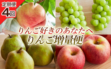 [定期便4回]りんご好きのあなたへ りんご増量便 FY25-221