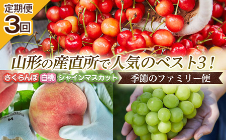[定期便3回]山形の産直所で人気のベスト3!さくらんぼ・白桃・シャインマスカット[季節のファミリー便] FY25-223