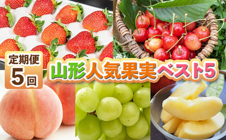 y5zR`lCʎxXgT FY25-284