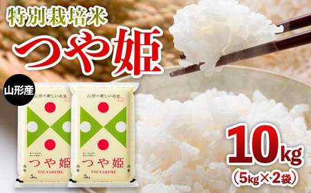 y萔zߘa6NY R`Y ʍ͔| P 10kg(5kg×2) FY25-303