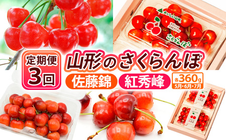 y3zR`̂ сEgG e360g×3[5E6E7] yߘa8NYs\zFS25-007