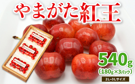 ܂g 540g 2`3LTCY (180g×3pbN) yߘa8NYs\zFS25-020