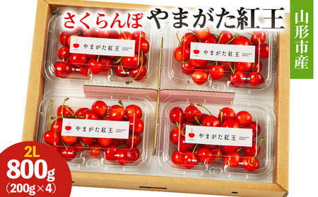R`sY (܂g)2L 800g(200g×4) yߘa8NYs\zFS25-026