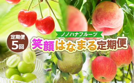 【定期便5回】ノノハナフルーツ 笑顔はなまる定期便 FY25-329