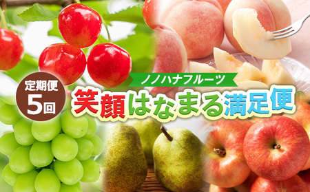 [定期便5回]ノノハナフルーツ 笑顔はなまる満足便 FY25-330