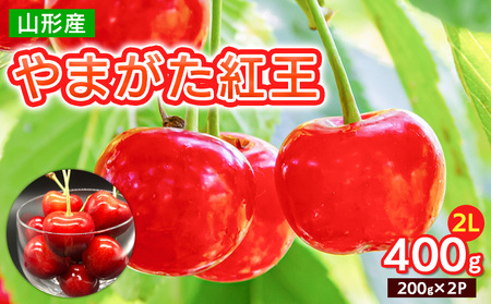 やまがた 紅王 2L 400g(200g×2パック)[令和8年産先行予約]FS25-064