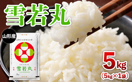 ߘa7NY R`Y  5kg FY25-352