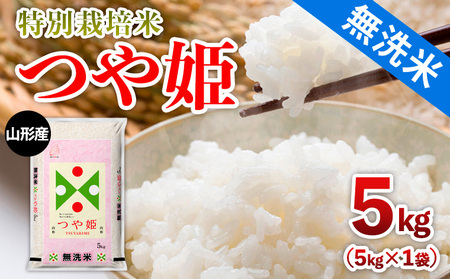ߘa7NY R`Y yāz ʍ͔| P 5kg FY25-354