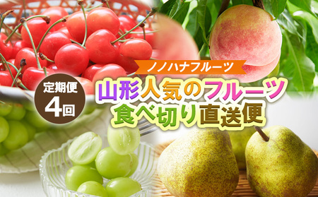 [定期便4回]ノノハナフルーツ 山形人気のフルーツ 食べ切り直送便[令和8年産先行予約]FS25-069
