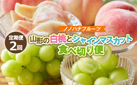 [定期便2回]桃とシャインマスカット 山形直送[令和8年産先行予約]FS25-073