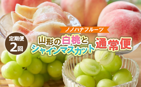 [定期便2回]山形の桃3kgとシャインマスカット1.2kg(2〜3房) 産地直送便 [令和8年産先行予約]FS25-074