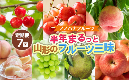 y7zmmnit[c N܂ƎR`̃t[cO yߘa8NYs\zFS25-076