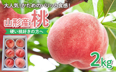 ydD̕ցzlCI߂̃pbƐHIR`Y  2kgyߘa8NYs\zFS25-083